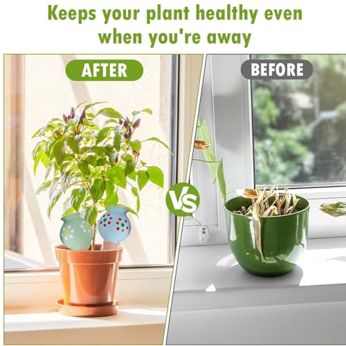 Pointes auto-arrosantes pour plantes d'intérieur et potager - 4