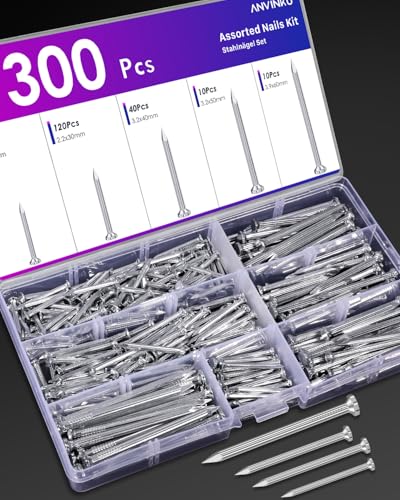 ANVINKU 300 Stück Stahlnägel Set, 5 Größen Nägel Wand, Flachkopf Nagelsortiment, Stahlnägel für Betonwände, Bilder Aufhängen, Heimwerken Handwerk
