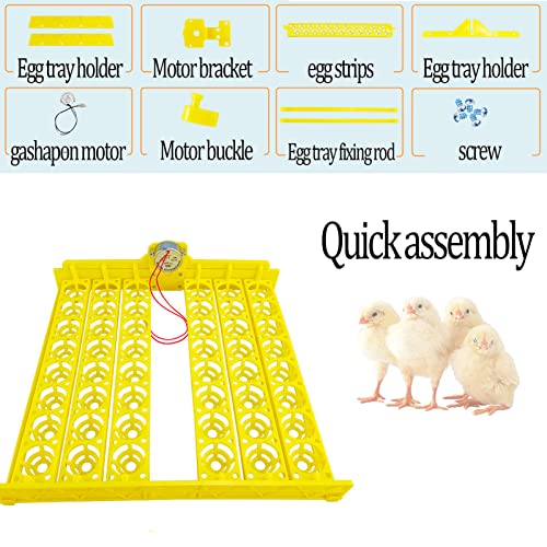 ZQWOZQ Automatische Brutmaschine Rotator Tablett Mit Motor, 36 Eier Vollautomatische Inkubator Drehen Tablett – Bild 5