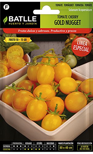 Semillas Hortícolas - Tomate amarillo Golden Nugget - Batlle ...
