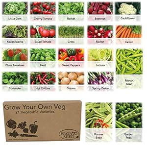 Pronto Seed Vegetable Seeds Grow Your Own Kit Gardening Gift for Women and Men Bumper Pack (21 Varieties with Over 1700…