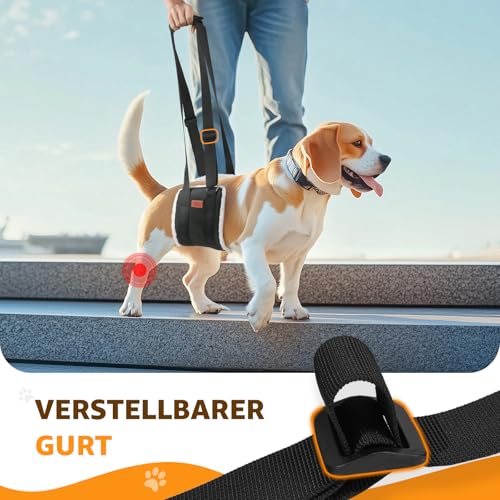 Verstellbarer Hunde Tragehilfe, Tragbarer Tragegurt zur Rehabilitation von mittleren und großen Hunden - Gehhilfe mit Griffen als Sicherheitsunterstützung für behinderte, verletzte oder ältere Hunde
