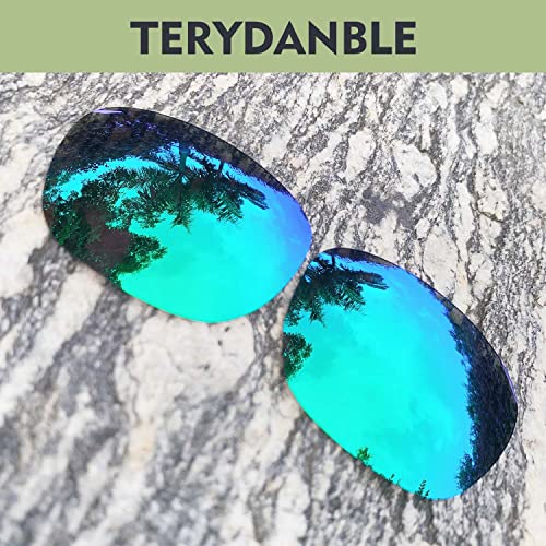 Lentilles pour Oakley Enduro pour remplacer des verres rayés 5 teintes