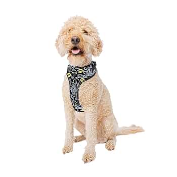 【 dog.woof  】 Woof Dog Woof Dog Pupsicle Green XL - Long Dog Fat Cat