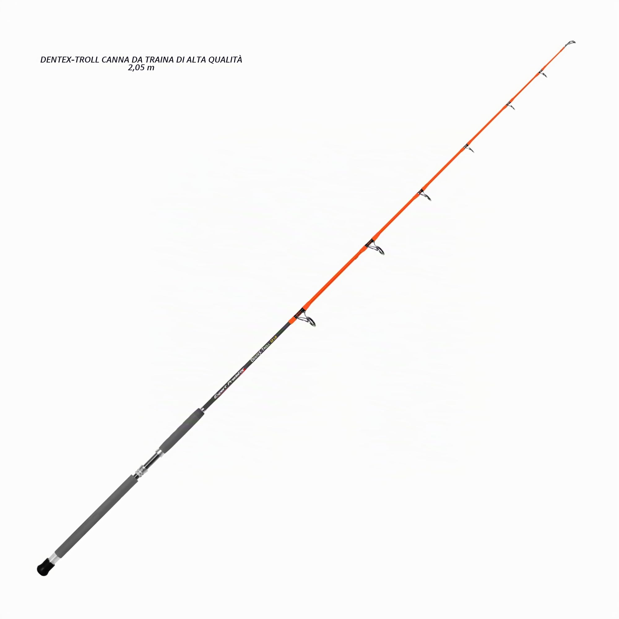Canna da traina Dentex-Trolling 20/30 lb - 2,05 mt