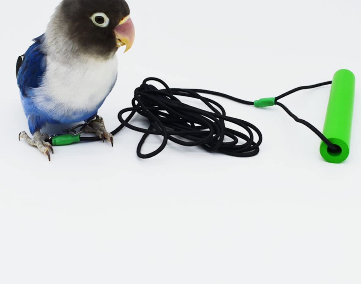 Stainless Steel Parrot Foot Chain - Adjustable Bird Ankle Ring With Training Rope & Whistle, Prevents Flying Away