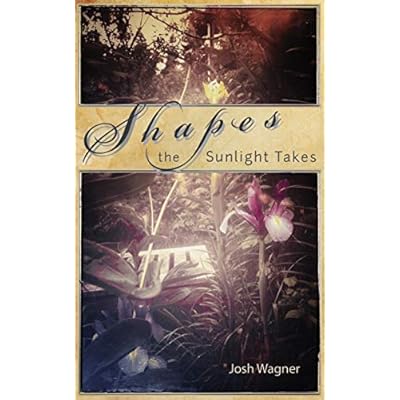 Shapes the Sunlight Takes