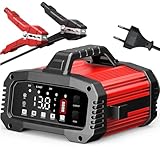 25A Caricabatteria da Auto, Caricabatterie per Auto LiFePO4 12V 24V, Caricabatteria portatile con funzione BOOSTER, Intelligente Schermo LED Caricabatteria per Auto Moto Camion, AGM, Gel, SLA (25A)