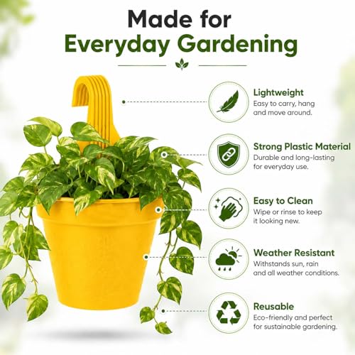 Image of Amazon Brand - Umi Plastic Small Hook Hanging Pot for Balcony, Size - 20.5 x 14.5 x 8.5 cm (Pack of 15, Multicolor)