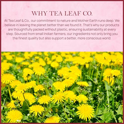 Image of Tealeaf & Co. Dandelion Root Tea with Dried Dandelion Root Extract - Pure Herbal Tea Bags Blended with Fresh Herbs - Flavored Herbal Blend - Low Caffeine - Gluten Free - 50 Teabags
