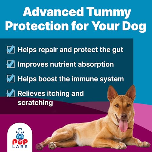 Pup Labs K9 Belly Bliss, All-Natural Gut Health for Dogs, Vet Approved Prebiotic for Dogs for Daily Digestive Support and Dog Constipation Relief, Easy to Use Topper for Dry and Wet Food, 30 Scoops. - Image 2