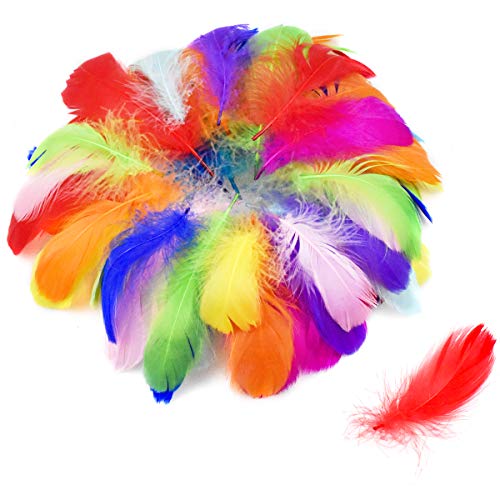 Bunte Feder, 100 Stück Dekofedern zum basteln Natürliche Gänsefeder...