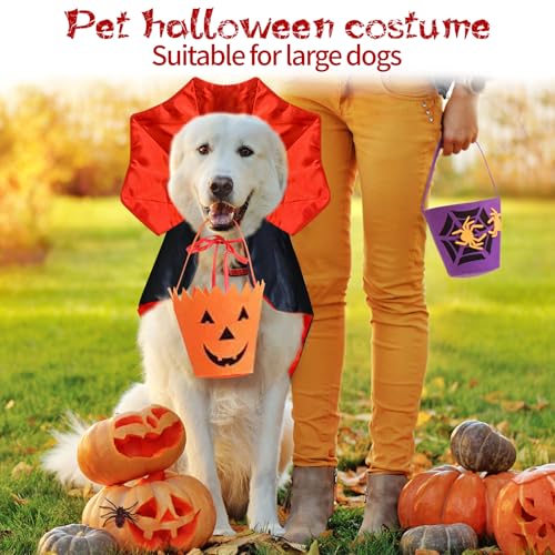 Disfraz Halloween para Perros Grandes Vampiro miniatura 6
