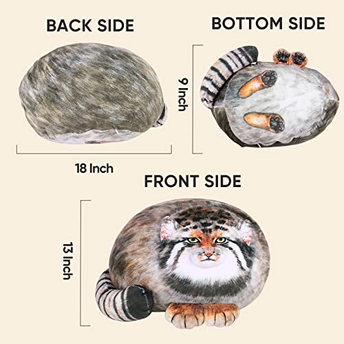 Lchuang 18 Inch Large Cat Plush Body Pillow Soft Kitten Plush Steppe Cat Throw Pillow Doll Pallas Cat Plush Toys Gift For Girls Boys Cute Stuffed Animals #TOP3
