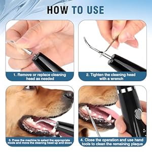Dog plaque remover for teeth5 modes pet ultrasonic tooth cleaner dog tooth tartar remover teeth cleaning kit for dental care teeth cleaner with led light finger toothbrush for dogs and cats   cucciolini doodles