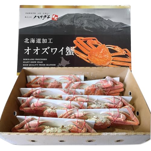 訳あり 三特 オオズワイガニ 3kg(6〜10杯) 北海道噴火湾産 化粧箱入 かに カニ 蟹 がに 森町 北海道 ずわいがに ずわいかに ズワイ ずわい 