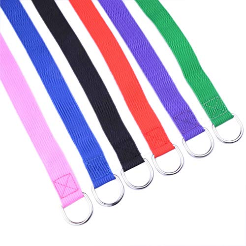 6 Pack D Ring Dog Slip Leads Leash Kennel Nylon Rope Doggy Daycare for Animals Control Training Play Camping Cats Dogs Pet Supply