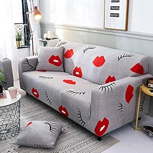 ZBFDSFT   Housse de Canapé Housse de Canapé Housse de Canapé Ensemble Housse Élastique Housse Housse de Canapé Housse de Canapé canapé pour Le Salon Canapé pour Animaux de Compagnie Cubre Canapé en