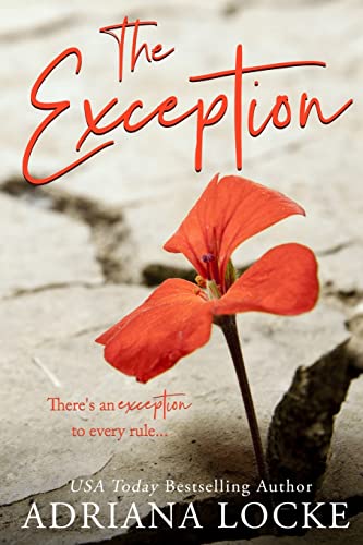 The Exception: 1 view 2