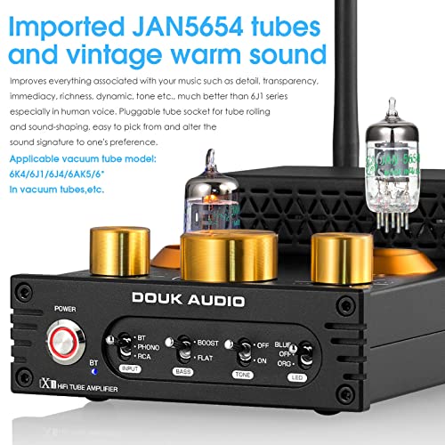 Vollverstärker Douk Audio X1 mit Bluetooth 5.0 und Röhrenverstärkung