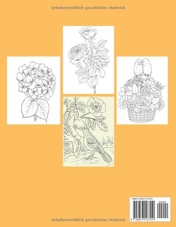Schöne Blumen MALBUCH FÜR ERWACHSENE: Entspannungs Malbuch für Erwachsene mit 50 Blumenmustern Malvorlagen Lotus, Lavendel, Narzisse, Tulpe .. und viele andere, um sich gut zu entspannen