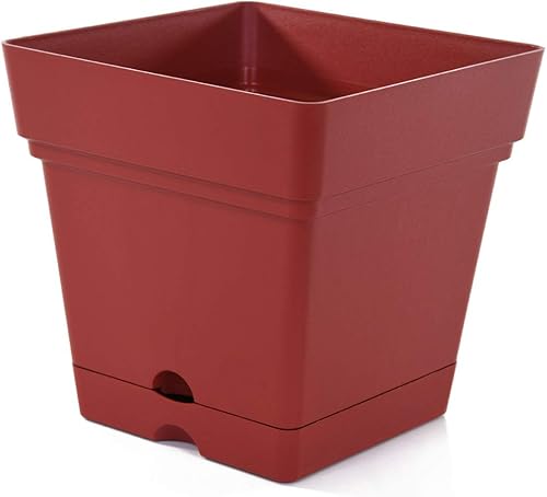 Miniatura 6 de Mintra - Macetas de plástico para plantas, maceta cuadrada para plantas de interior y exterior, macetas de jardín con platillos y agujeros de