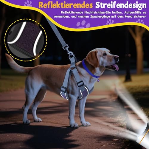 3 Stück Hundegeschirr und Leine Set, Verstellbares Brustgeschirr, Reflektierendes atmungsaktives Hundegeschirr mit D-Ring, Hundegeschirrs Set für Welpen, Kleine Hunde