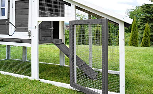 Miweba MyAnimal Hühnerstall MH-32 XXL mit Eiablage | Für 4 Hühner - Nistkasten mit Freilaufgehege - 2 Sitzstangen… – Bild 8