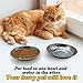 Hamiledyi 12 Pcs Stainless Steel Cat Bowls Shallow Metal Pet Dishes Large Cat Feeding Plate Replacement Whisker Fatigue Kitten Food Bowl for Dogs Cats and Other Small Animals (8.67 Inch Diameter)