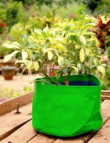 Well Grower Grow Bag for Garden Plants 12 X 6 Pack of 5