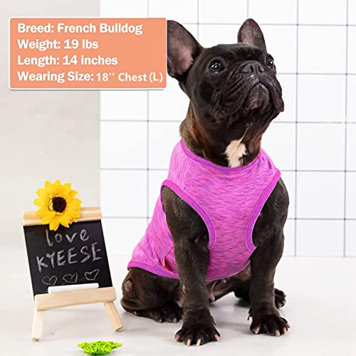 Kyeese 2 Pack Dog Shirts Quick Dry Soft Stretchy Sun Protection Dog T-Shirts With Reflective Label Tank Top Sleeveless Vest Dog Clothes For Small Medium Dogs, Large, Purple+Pink #TOP6