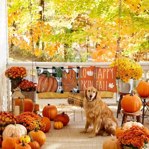 Image of PSDWETS Fall Decor Pillow Cover 18x18 Set of 4,Hello Fall Pumpkin Decorations Cushion Cover,Thanksgiving Home Decorative Pillows