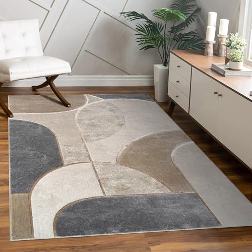 Paco Home Tapis Salon Chambre À Coucher À Poils Courts Motif Géométrique Arc Abstrait Optique 3D Décoration Moderne Gris Beige, Dimension:80x150 cm