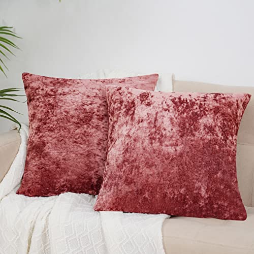 PHF Velvet Euro Sham, 26" x 26", 2 Pack Color Gradient Luxury Home Decorative Euro Throw Pillow Covers, Super Soft Cozy European Pillow Covers, No Filling, Light Burgundy