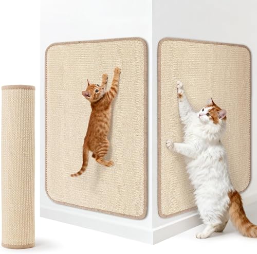 LOOBANILpXNb`[}bg L߂ƂV[g ėp x VRTCU ǂɓ\ ϖ  L ܌ Ƌی h~ ȒP Lp L ܂Ƃ̌i XgX ^sP lRpi (AvRbgF, 30*5