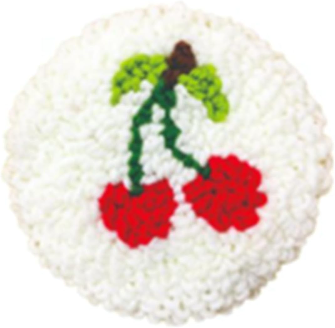 Shurhome Fruit Pattern Embroidery Punching Needle Set for Beginner Adult Includes Yarn Cloth Punching Needle Supplies