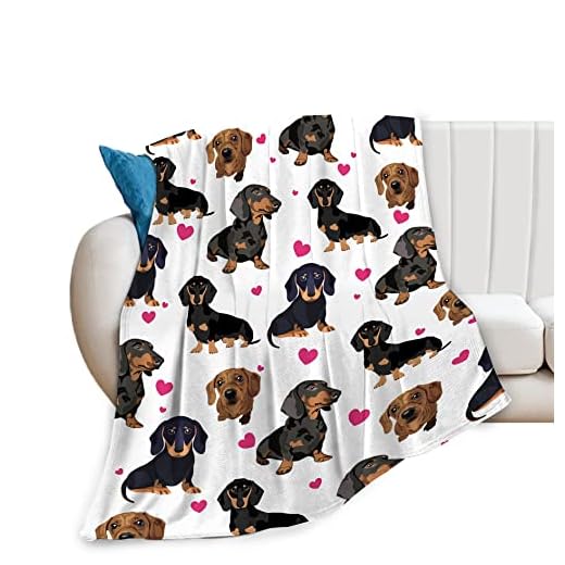 Dachshund Blanket for Girls Boys Women Gifts for Dachshund Lovers Dachshund Throw Blanket for Kids Adults Ultra Soft Cozy Fleece Blanket for Couch Sofa ​Bed 40"x50"