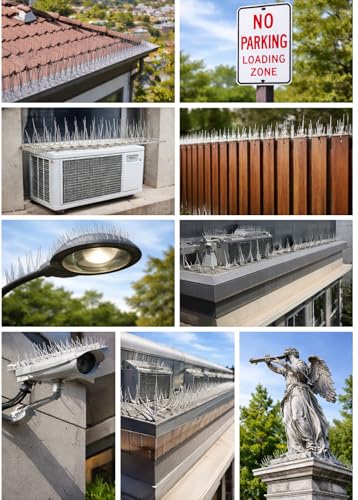 Image of XONOV Bird and Pigeon Spikes, Pigeon Control Spikes Anti Bird Plastic Spikes for AC Balcony Railing Window Home Protection from Pigeon Dog Monkey Crow Kabootar Transparent (Pack of 80 (13 Inch))