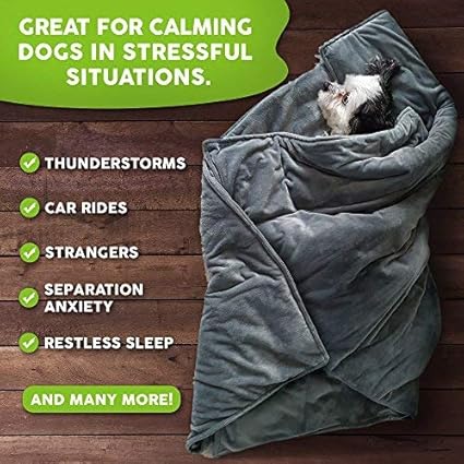 Weighted dog blanket uk Clearance