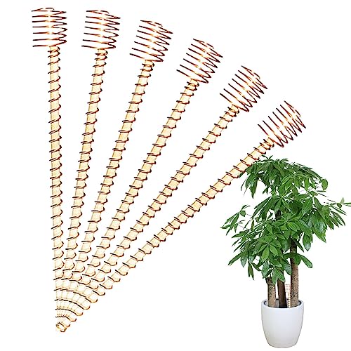 Bobina di Rame per Antenna da Giardino, 12 Pollici, aste per Piante da Interno, 6, Pali di Supporto avvolti in Legno Naturale, Pali per Giardinaggio, Pali per Piante da Appartamento