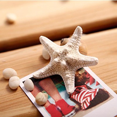 CALISTOUS Super Clips de Pelo Estrella de mar Hairpin