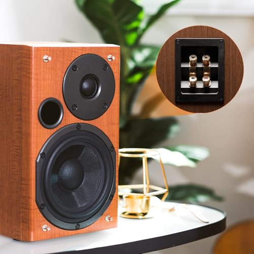 Caja terminal para altavoz de 2.4 pulgadas miniatura 6
