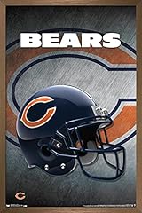 Bronze Framed Version