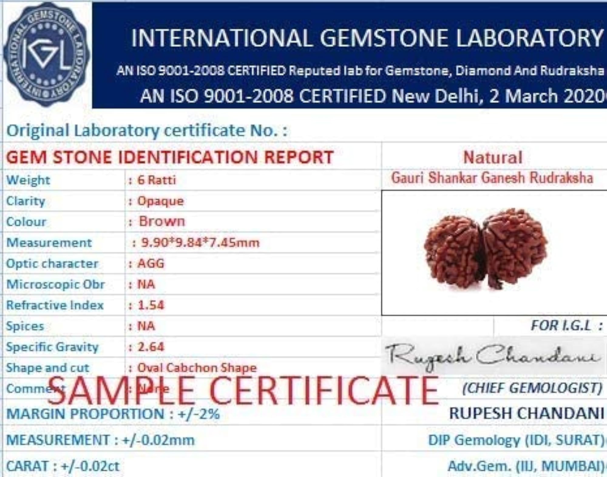 Gauri Shankar Rudraksha, Natural Colour, Certified