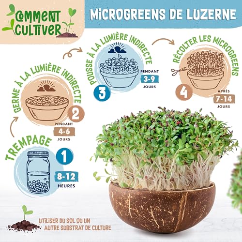 Graines de alfalfa microgreens bio luzerne à germer sachet 500g - 8