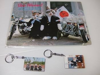 なめネコ　下敷き　10枚セット 71tjwYimTfL._UF350,350_QL50_.jpg