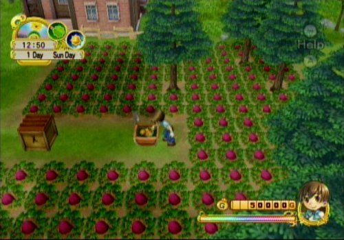 Harvest Moon: Tree of Tranquility - Nintendo Wii (Renewed)
