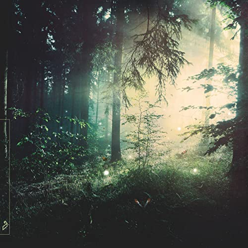 nils hoffmann feat. Panama