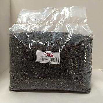 Beans72 Organic Buckwheat Hulls 10 Pounds Made in USA
