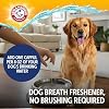 Arm & Hammer Aditivo Dental para Perros Complete Care, 16 Fl Oz | Fórmula diaria sin olor ni sabor con bicarbonato de sodio y calcio combate la placa, el sarro y el mal aliento 16 Fl Oz (Paquete de 1) 8